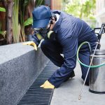 Sydney Pest Control Experts - Fast, Efficient, and Affordable